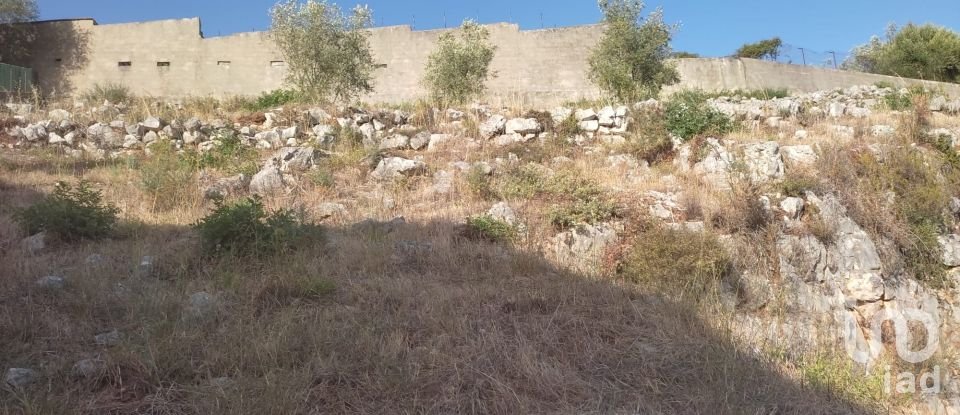 Terrain à Mira de Aire de 1 275 m²