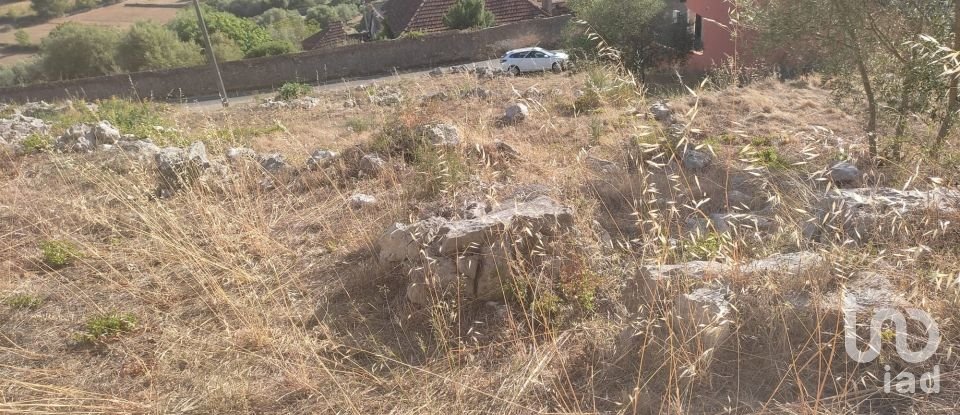 Terrain à Mira de Aire de 1 275 m²