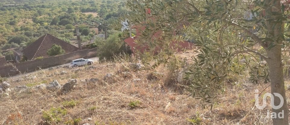 Terrain à Mira de Aire de 1 275 m²