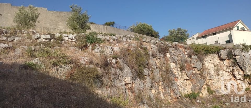 Terrain à Mira de Aire de 1 275 m²