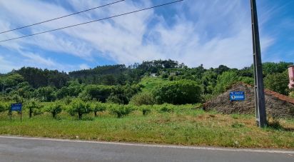 Maison de village T0 à Vidais de 150 m²