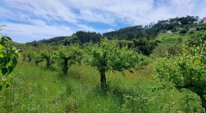 Maison de village T0 à Vidais de 150 m²