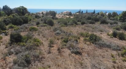 Terrain à Luz de 20 680 m²