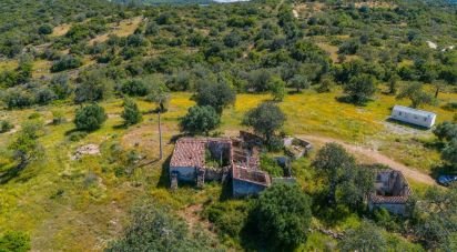 Building plot in Santa Catarina da Fonte do Bispo of 230,000 m²