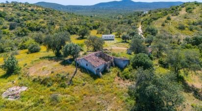 Building plot in Santa Catarina da Fonte do Bispo of 230,000 m²