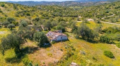 Building plot in Santa Catarina da Fonte do Bispo of 230,000 m²