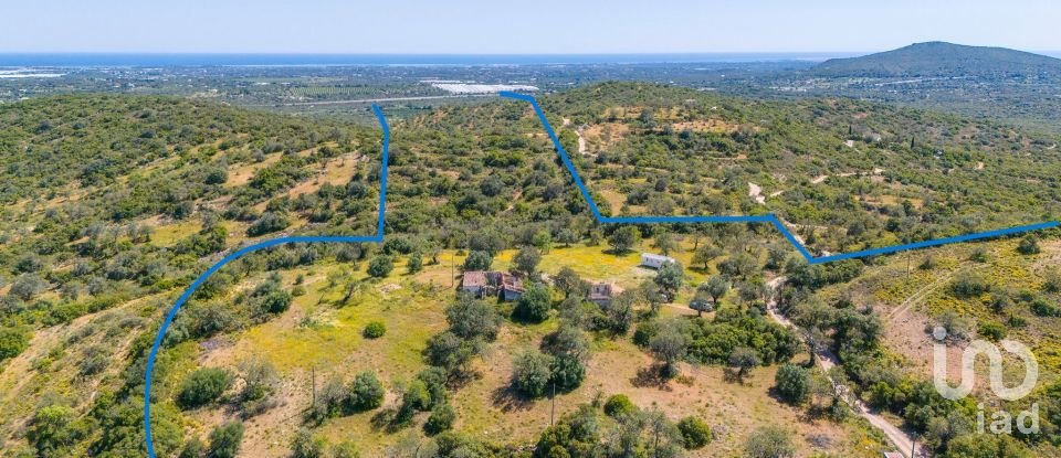 Terrain à bâtir à Santa Catarina da Fonte do Bispo de 230 000 m²