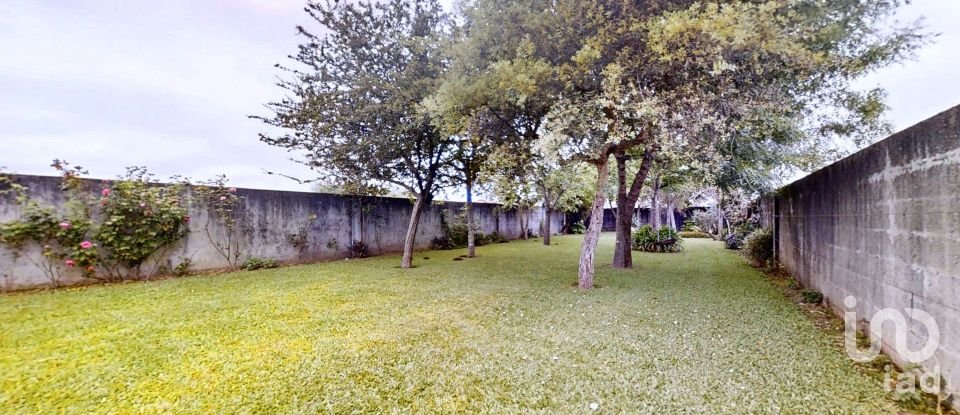 Lodge T3 in Antas of 302 m²