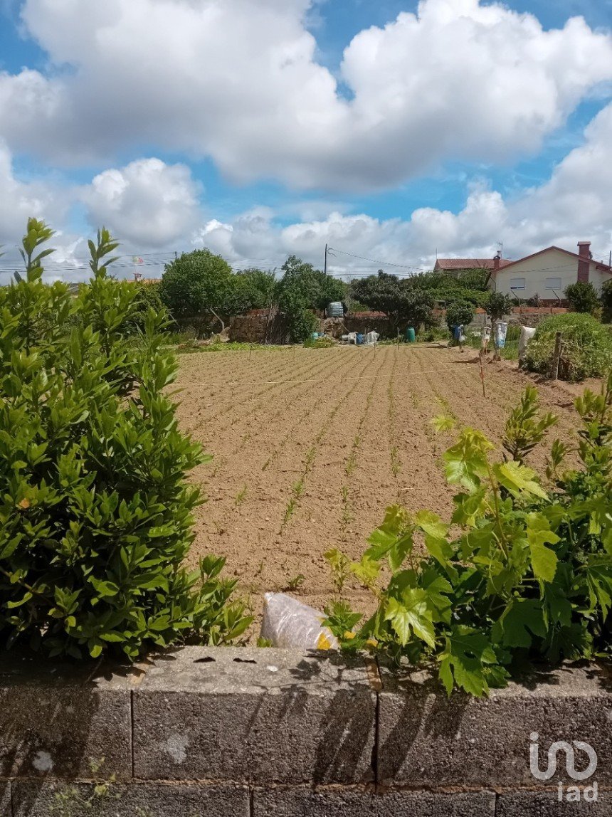 Land in Pinheiro da Bemposta, Travanca e Palmaz of 2,140 m²