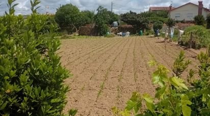 Terreno em Pinheiro da Bemposta, Travanca e Palmaz de 2 140 m²