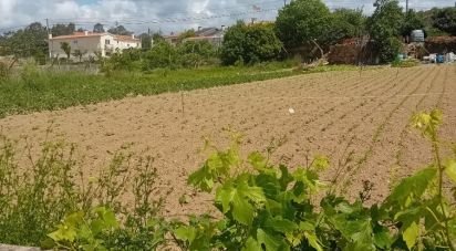 Terrain à Pinheiro da Bemposta, Travanca e Palmaz de 2 140 m²