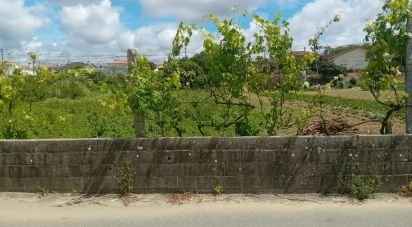 Terrain à Pinheiro da Bemposta, Travanca e Palmaz de 2 140 m²