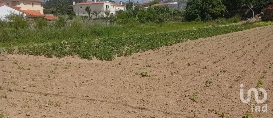 Land in Pinheiro da Bemposta, Travanca e Palmaz of 2,140 m²