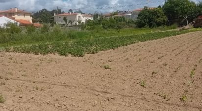 Terrain à Pinheiro da Bemposta, Travanca e Palmaz de 2 140 m²