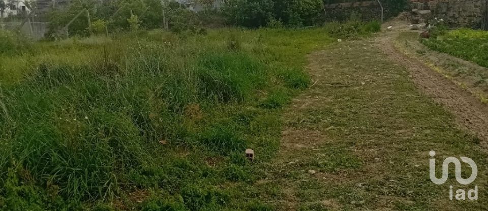 Land in Pinheiro da Bemposta, Travanca e Palmaz of 2,140 m²