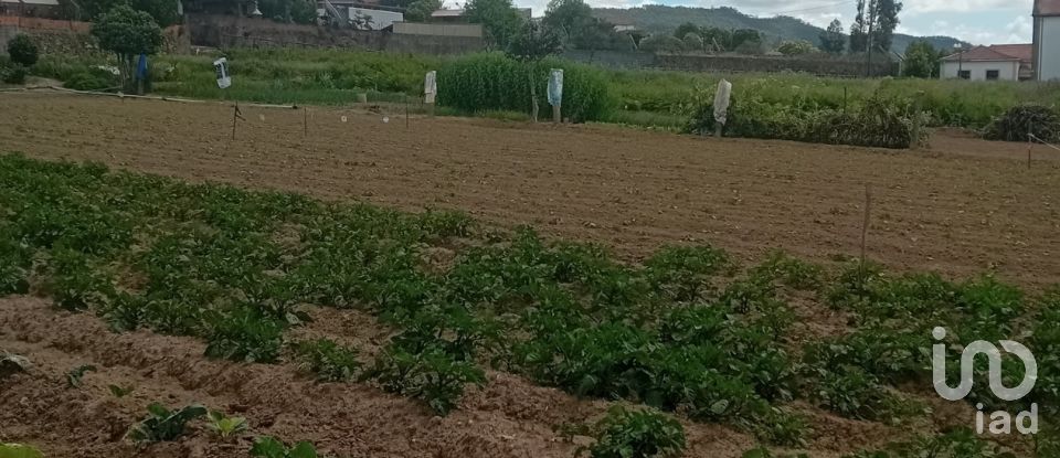 Land in Pinheiro da Bemposta, Travanca e Palmaz of 2,140 m²