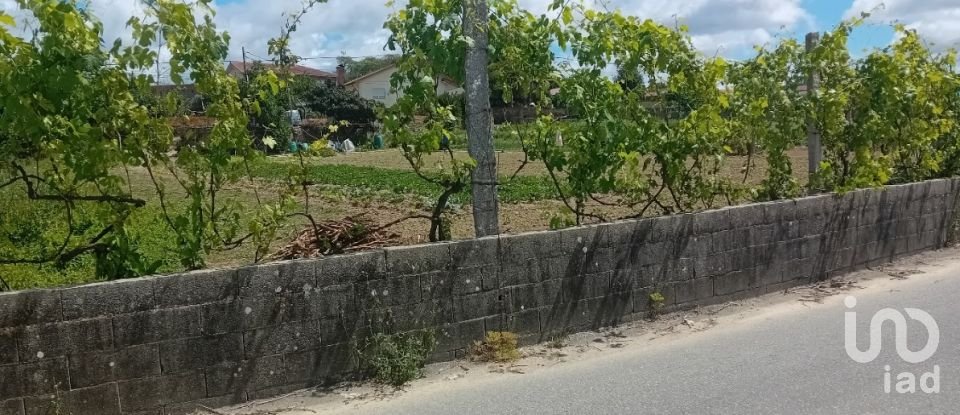 Land in Pinheiro da Bemposta, Travanca e Palmaz of 2,140 m²