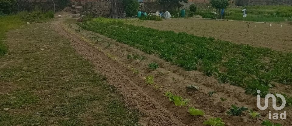 Land in Pinheiro da Bemposta, Travanca e Palmaz of 2,140 m²