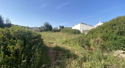 Terrain à Ferreiras de 1 000 m²