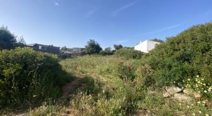 Terrain à Ferreiras de 1 000 m²