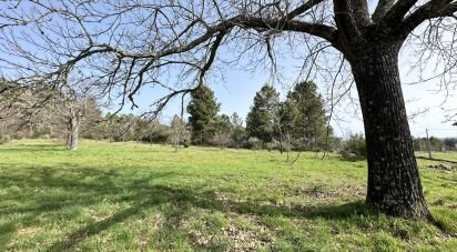 Land in Torre do Terrenho, Sebadelhe da Serra e Terrenho of 21,741 m²