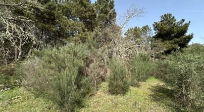 Land in Torre do Terrenho, Sebadelhe da Serra e Terrenho of 21,741 m²