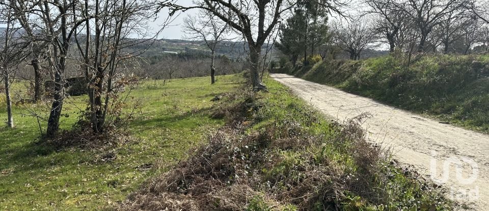 Terrain à Torre do Terrenho, Sebadelhe da Serra e Terrenho de 21 741 m²