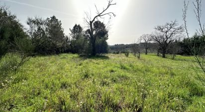 Land in Torre do Terrenho, Sebadelhe da Serra e Terrenho of 21,741 m²
