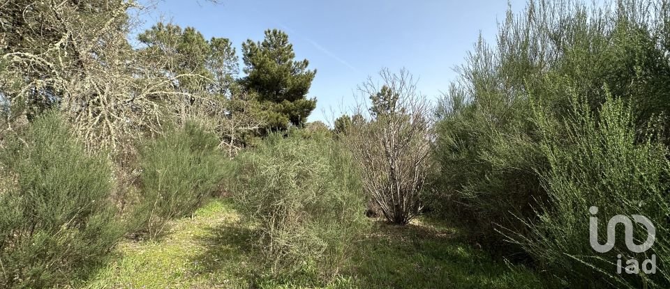 Terrain à Torre do Terrenho, Sebadelhe da Serra e Terrenho de 21 741 m²