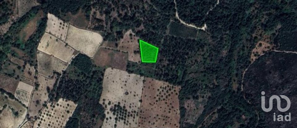 Terrain à Torre do Terrenho, Sebadelhe da Serra e Terrenho de 21 741 m²