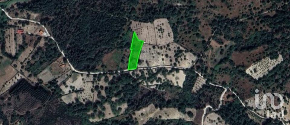 Terrain à Torre do Terrenho, Sebadelhe da Serra e Terrenho de 21 741 m²