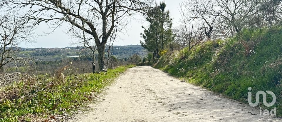 Terrain à Torre do Terrenho, Sebadelhe da Serra e Terrenho de 21 741 m²