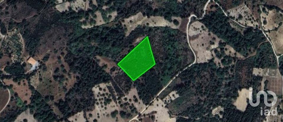 Terrain à Torre do Terrenho, Sebadelhe da Serra e Terrenho de 21 741 m²