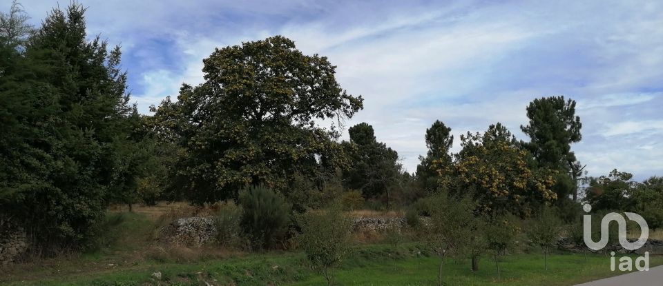 Terrain à Torre do Terrenho, Sebadelhe da Serra e Terrenho de 21 741 m²