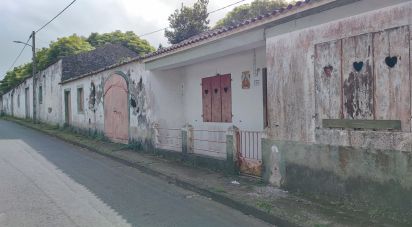 Terrain à Rabo de Peixe de 25 780 m²