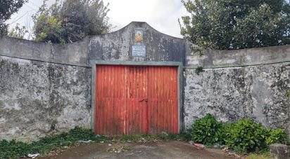 Terrain à Rabo de Peixe de 25 780 m²