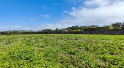 Terrain à Rabo de Peixe de 25 780 m²