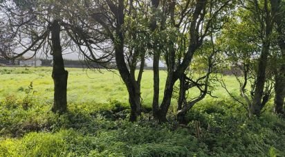 Terrain à Rabo de Peixe de 25 780 m²