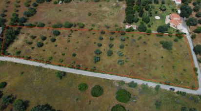 Land in Loulé (São Sebastião) of 9,990 m²