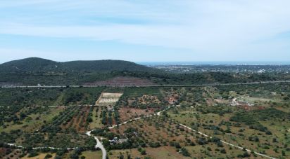 Land in Loulé (São Sebastião) of 9,990 m²