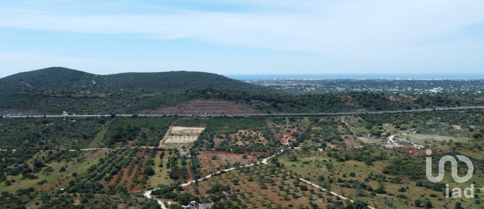 Land in Loulé (São Sebastião) of 9,990 m²