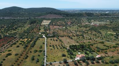 Land in Loulé (São Sebastião) of 9,990 m²