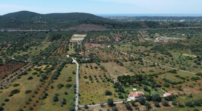 Land in Loulé (São Sebastião) of 9,990 m²