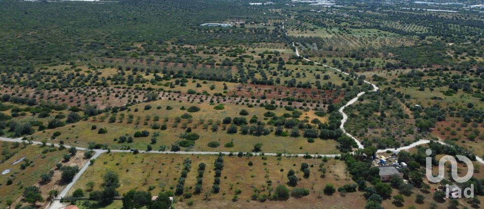 Land in Loulé (São Sebastião) of 9,990 m²