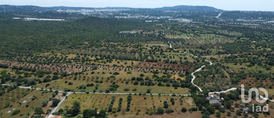 Land in Loulé (São Sebastião) of 9,990 m²