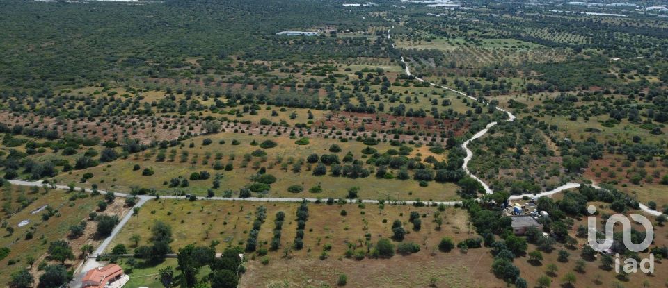 Land in Loulé (São Sebastião) of 9,990 m²