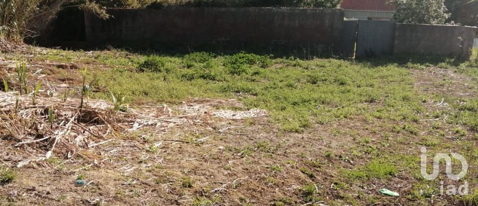 Terrain à Salir de Matos de 1 177 m²