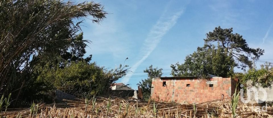 Terrain à Salir de Matos de 1 177 m²