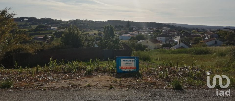 Terrain à Salir de Matos de 1 177 m²