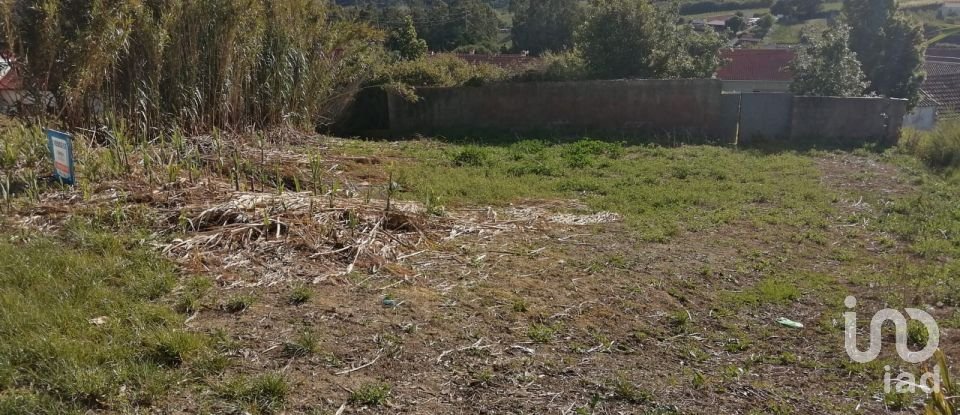 Terrain à Salir de Matos de 1 177 m²